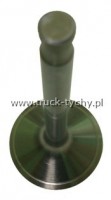 Zawr gowicy silnika T-815, Jamal  sscy