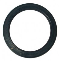 Uszczelniacz 125 x 160 x 15