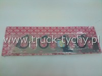 USZCZELKA KOLEKTORA SSCEGO RENAULT SCENIC 2004'