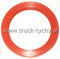 Uszczelniacz  60 x 80 x 13 SI G