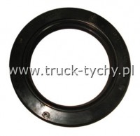 Uszczelniacz  70 x100 x 13 G