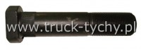 ruba koa m22x1,5/100mm Iveco Eurostar
