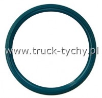 Uszczelniacz 150 x 170 x 15 AC KACO DGS