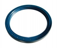 Uszczelniacz 125 x 150 x 15