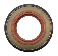 Uszczelniacz  30 x 55  x 9  BASF DRW7