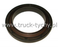Uszczelniacz  70 x 100 x 12,5/16