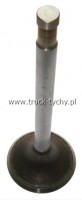 Zawr gowicy silnika T-148 ssacy 