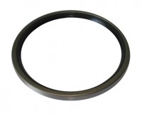 Uszczelniacz 140 x 160 x 13    GIGANT
