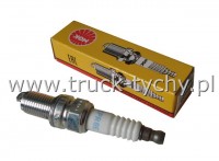 WIECA ZAPONOWA NGK FIAT PUNTO 
