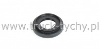Uszczelniacz  33 x 55 x 8/13,5 