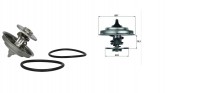 Termostat 60C Mercedes, Man z uszczelk