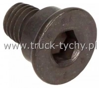 ruba mocowania tarczy hamulcowej M8x1,25 16mm BMW