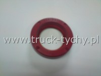 Uszczelniacz  35 x 56 x 12 SI  GUFERO
