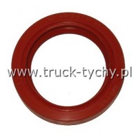 Uszczelniacz  45 x 62 x 12 SI