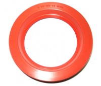 Uszczelniacz  55 x 80 x 13 SI
