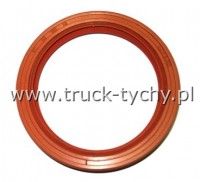 Uszczelniacz  70 x 90 x 13 SI GP
