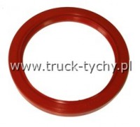 Uszczelniacz  80 x 100 x 13 SI GPOlV  GUFERO