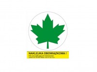 Zielony listek  - naklejka