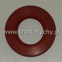 Uszczelniacz  30 x 55 x 10 SI GPV