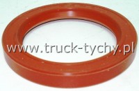 Uszczelniacz  72 x 100 x 13 SI G