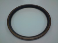 Uszczelniacz 140 x 160 x 13   SAF