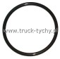 Uszczelka "O" 125x5 piasty TP24, T-813