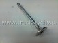 Zawr gowicy silnika PEUGEOT 306 wydechowy