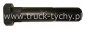 ruba koa m22x1,5/100mm Iveco Eurostar