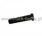 RUBA KOA STAR, AUTOSAN H9, D83 M20x1,5x98mm TY