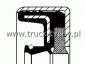 Uszczelniacz 110,23 x 145 x 10/12  CORTEGO