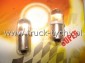arwki 24V 4W led 