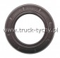 Uszczelniacz  35 x 55  x 7  BAUMA3 SLX7