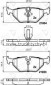 KLOCKI HAMULCOWE TY BMW  E36/E46/Z3, ROVER