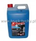 Koncentrat pynu do spryskiwaczy  5L -60C ACTIVE