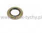 Uszczelniacz  75 x110 x 13 x 10/17  CORTEGO
