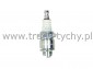WIECA ZAPONOWA NGK 5798