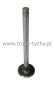 Zawr gowicy silnika AVIA A-75 wydechowy D 421
