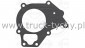 Uszczelka termostatu Iveco Stralis S-way, X-way