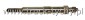 WIECA AROWA AVIA A-75 silnik D421