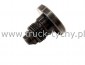 ZAWOREK POMPY WTRYSKOWEJ 60042-49